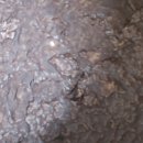 김연합의원 이미지