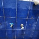 봉래산로 이미지