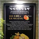 닥터브레드 이미지