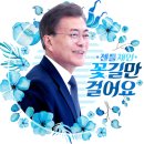데일리101
