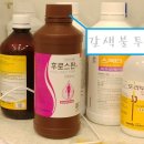 정문온누리약국 이미지