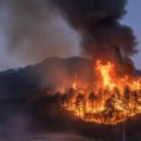 안태초등학교 이미지