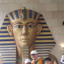 대명체육관 이미지