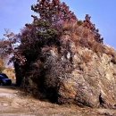 💞 ♣ 충남 서산 서해랑길81코스 답사 걷기(2025/11/22/) ♠🫎 이미지