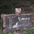 서리풀공원1-20 이미지