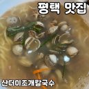평택서비스기아오토큐㈜ | 평택 점심 맛집 [산더미조개칼국수] 솔직 후기