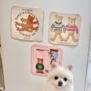 그루머제인 이미지