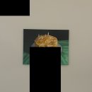 금산 캔넬 | 싫은 것보다 좋은 것이 많으면