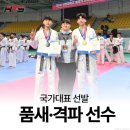 HTS 경희대 석사 태권도장 | 안산태권도, 아이의 긍정적인 변화를 이끄는 '체계적인 교육'의 힘!