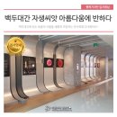 백두대간 자생씨앗 아름다움에 반하다 | [경기천년갤러리 전시] 국립백두대간수목원 전시전 : 백두대간 자생씨앗 아름다움에 반하다