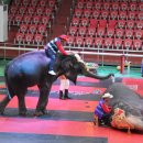 점보빌리지 이미지