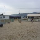 서암주유소 이미지