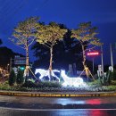 대청호반 이미지