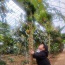 은비농장 이미지