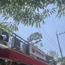 고집통 - 남구 왕생로144번길 24-1 | 별내 고집통문어칼국수 후기 (통문어해물칼국수, 물총조개칼국수, 갑오징어불고기 솔직 리뷰 + 대기 팁)