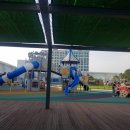 멍멍타요 이미지