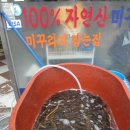 자연산추어탕 이미지