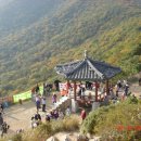 다현유치원 이미지