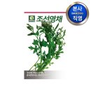 영채농장 이미지