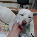 월정로7길 이미지