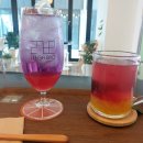 위너스 홀덤