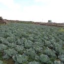 무릉2리마을회관 이미지