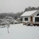 꼼지의 작은세상 이미지