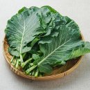 늘푸른농산물 - 안산시 단원구 와동공원로 122 | 늘푸른농산물