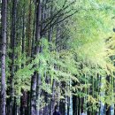 도리내마을 이미지