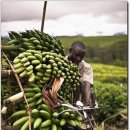 비젼스쿨 이미지