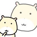 보드게임카페레드버튼대전은행동