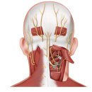 경희다시봄한의원 이미지