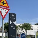 레오나르독 이미지