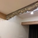 롱비치275 이미지