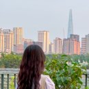 씨에스제이 네이버블로그