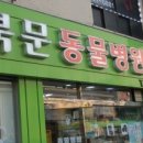 북문다솜동물병원 이미지