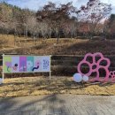 철쭉동산 이미지