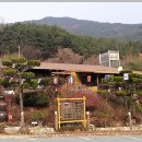 풍각터미널 Daum카페