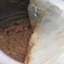 지리산 칠선계곡 토속식품 이미지