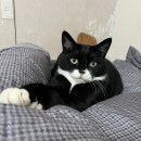 씨유 중랑행복점 | 뭐가 꿈이지