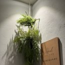 큐헤어카페 | 경성대미용실 부산헤드스파로 피로도 덜고 인간아로마 된 후기 (노크헤어 경성대점)