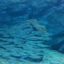 엑스포로1 이미지