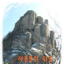 황정길 Daum카페