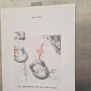 복장의식집 | W25. 플래너 없이 결혼하기: 더앤드유 스튜디오 촬영 후기 1탄 - 내돈내산, 워크인, 협찬x