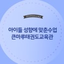 큰마루 태권도 교육관 이미지