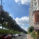 강촌강변마을 | 대구 디톡스 다이어트, 힐링 엔젤스 대구 동구 체험 후기