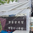 홍대명품족발