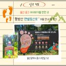 정보】울산 중구 가볼 만한 곳 ' 황방산 맨발산책로' (자연과 함께 건강 챙기기/ 아이와 함께) 이용 후기