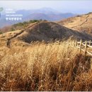 하늘에펜션