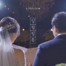 일월필름